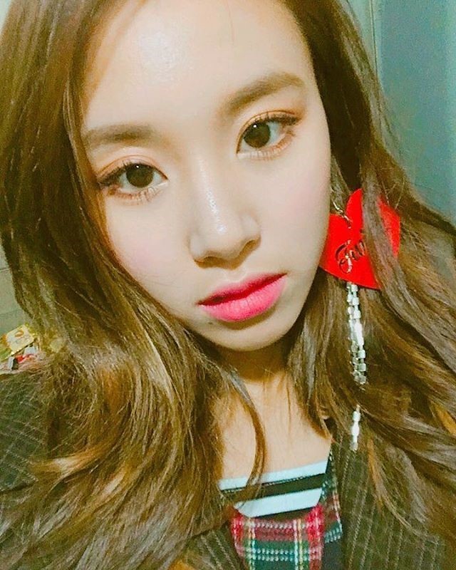 트와이스 아기맹수 손채영 | 인스티즈