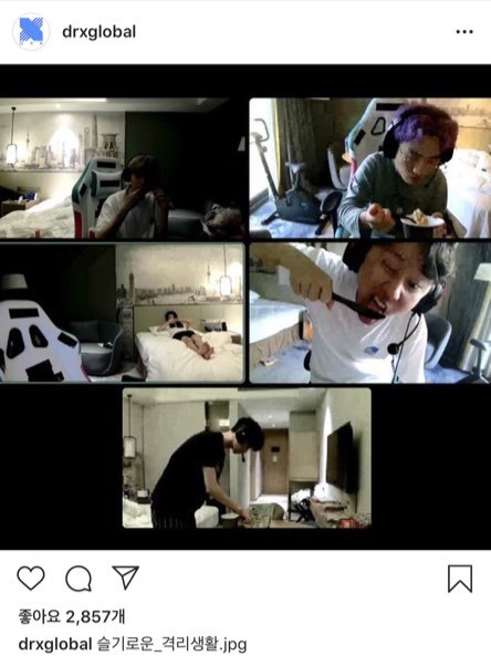 중국에서 자가격리 하고있는 DRX | 인스티즈