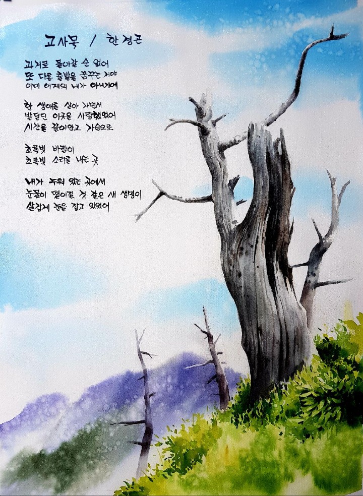 시화전 이미지