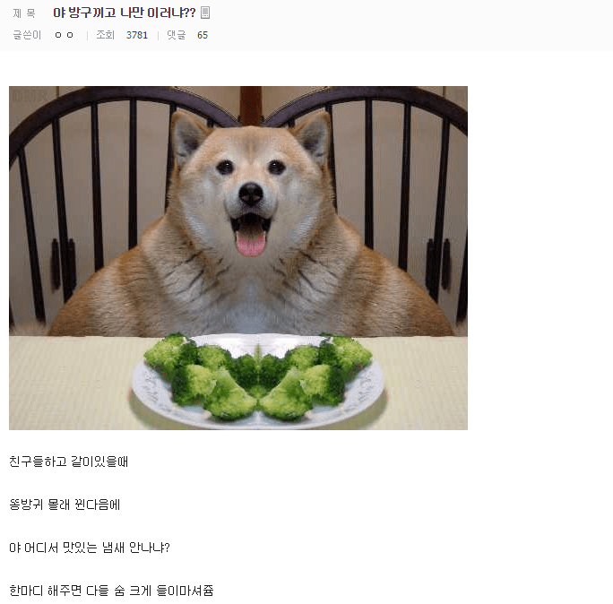 흔치 않은 도라이.jpg | 인스티즈