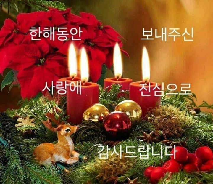 먼데 이미지
