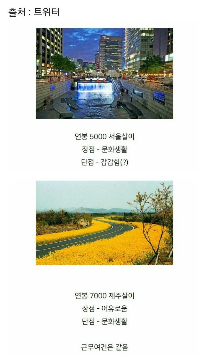 연봉 5000 서울살이 vs 연봉 7000 제주살이 | 인스티즈