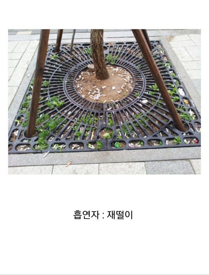 흡연자가 욕먹는 이유 jpg (길빵) | 인스티즈