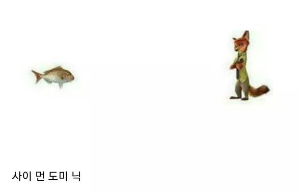 도미하고 닉하고 왜 사이가 안 좋은지 아심???? | 인스티즈