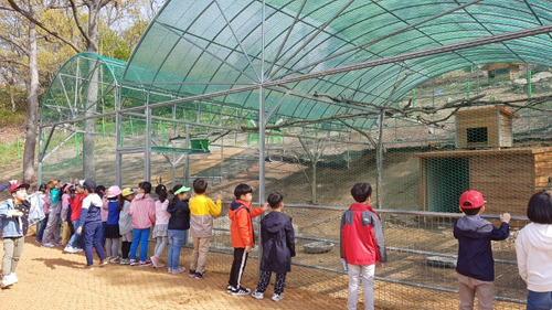 사파리체험테마파크 이미지