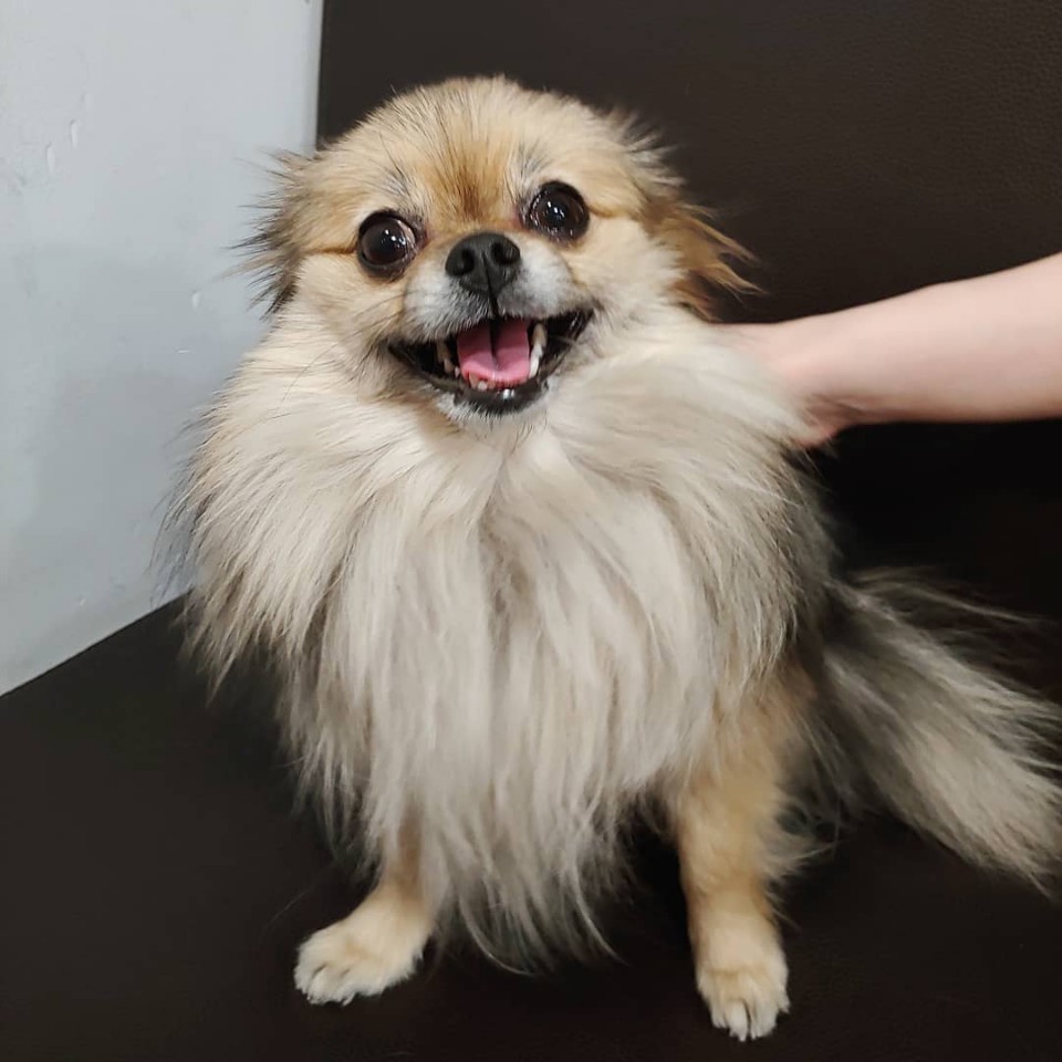 우리콩 이미지
