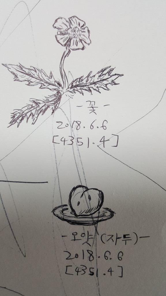 오얏 이미지