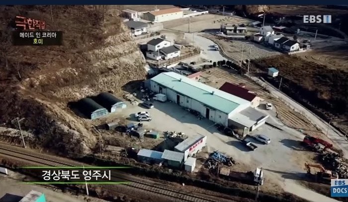 아마존에서 불티나게 팔리는 호미 | 인스티즈