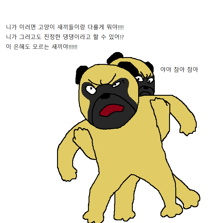 생일이개 이미지