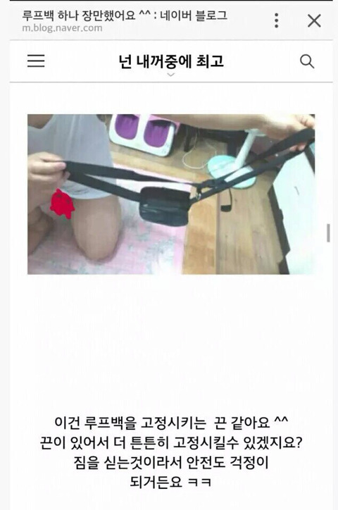 오늘자 특이점이 온 짱절미 인스타그램 댓글.jpg | 인스티즈