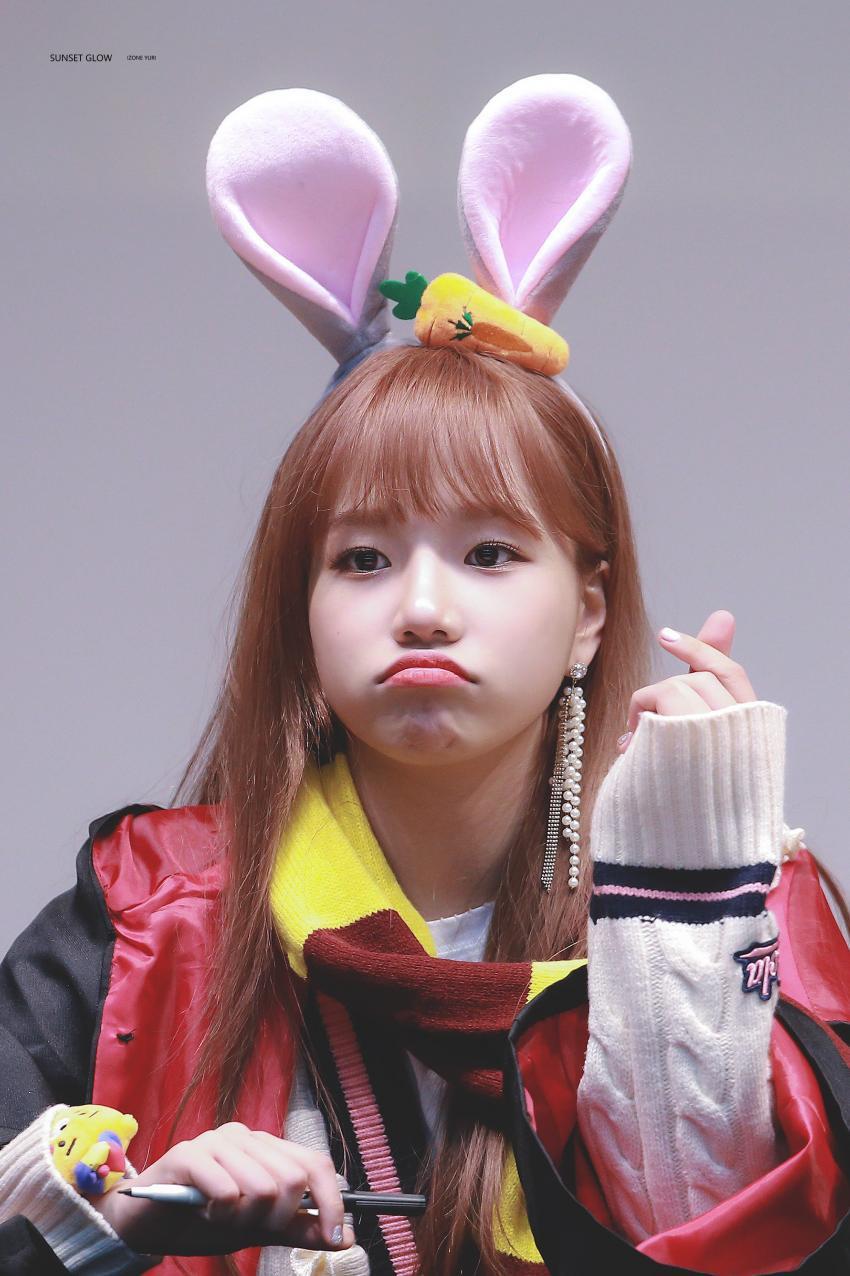 [아이즈원] 작은 댕댕 | 인스티즈