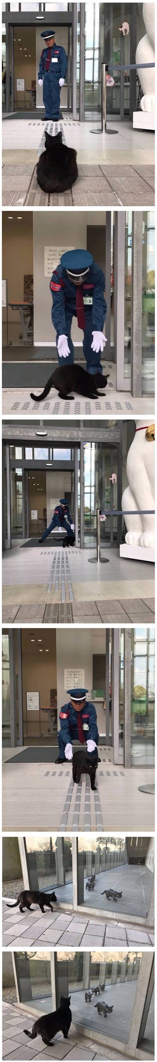 차별당하는 고양이.jpg | 인스티즈