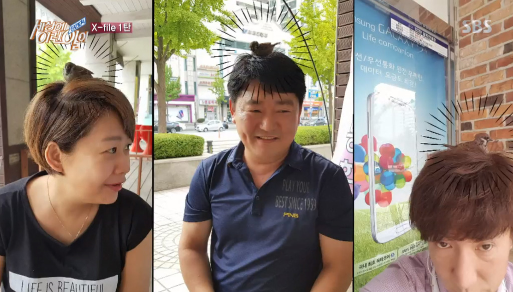 [세상에이런일이] 엄청 충격적이였던 오늘편 사람을 좋아하는 참새 새순이 이야기.jpg | 인스티즈