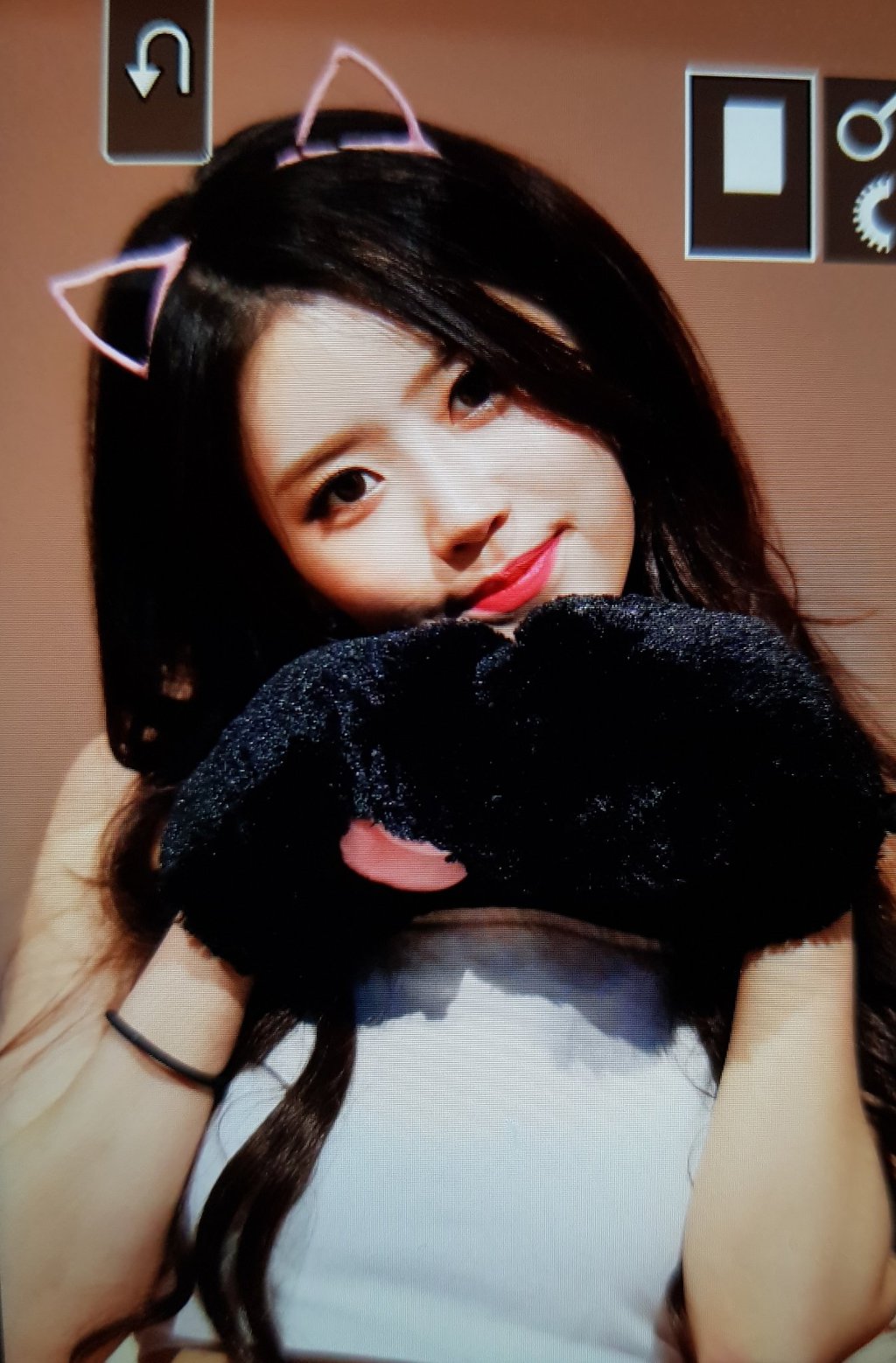 분홍고양이 이미지