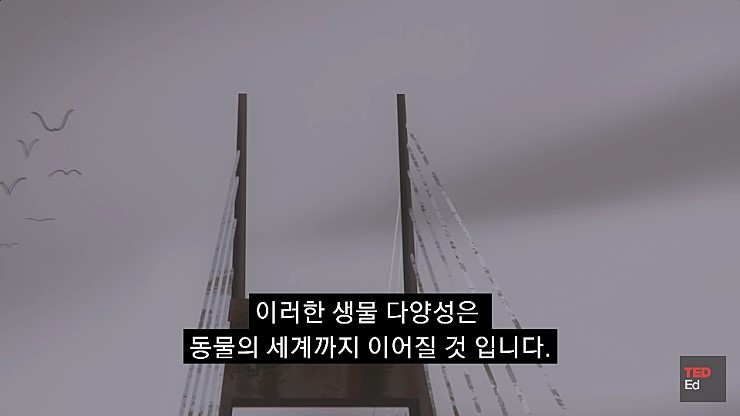  어느날 모든 인류가 갑자기 사라진다면.jpg | 인스티즈