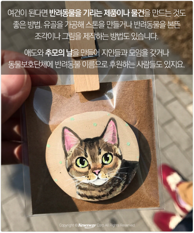 처음 반려동물 만났을때 너무 좋고 예뻐서 전혀 생각하지 못하는 것.jpg | 인스티즈
