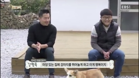 반려견 키우는 사람들은 99%가 안다는 그 사람.jpg | 인스티즈
