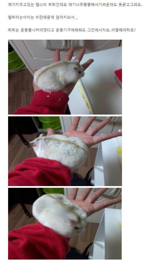 찌찌가 너무 커서 고민이에요 | 인스티즈