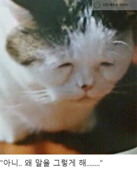 풀이 잘 죽는 아빠랑 점빼러 간 썰 .jpg | 인스티즈
