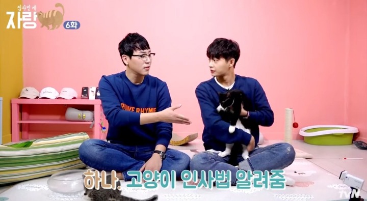 고양이랑 인사하는 법.jpg | 인스티즈