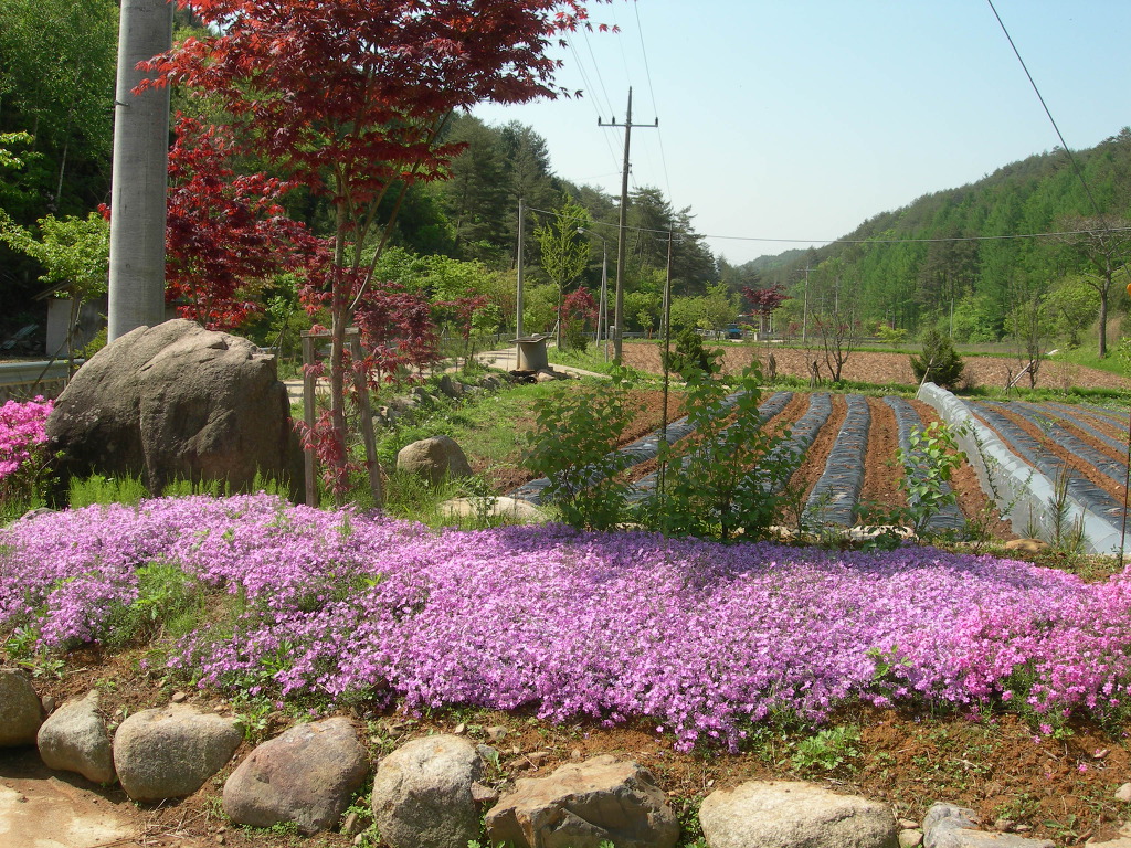 진주농장 이미지