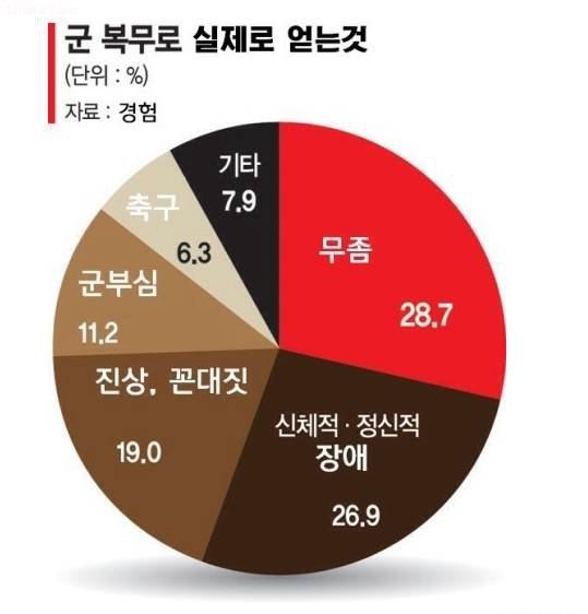 군복무에서 실제로 얻는것 | 인스티즈