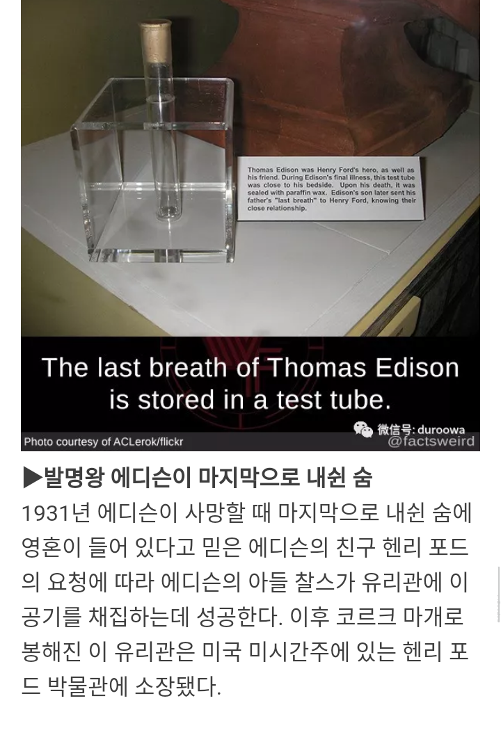 위인들의 남아있는 신체 일부 | 인스티즈
