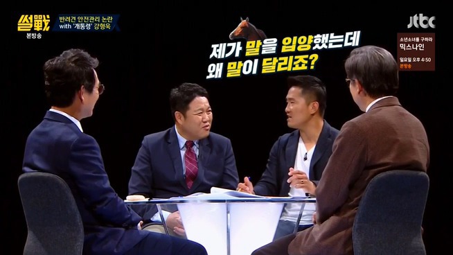 [썰전] 시바견 | 인스티즈