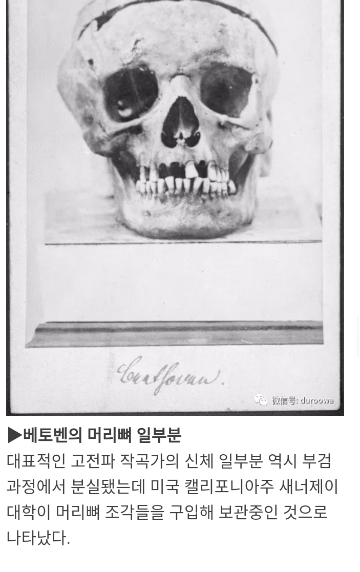 위인들의 남아있는 신체 일부 | 인스티즈
