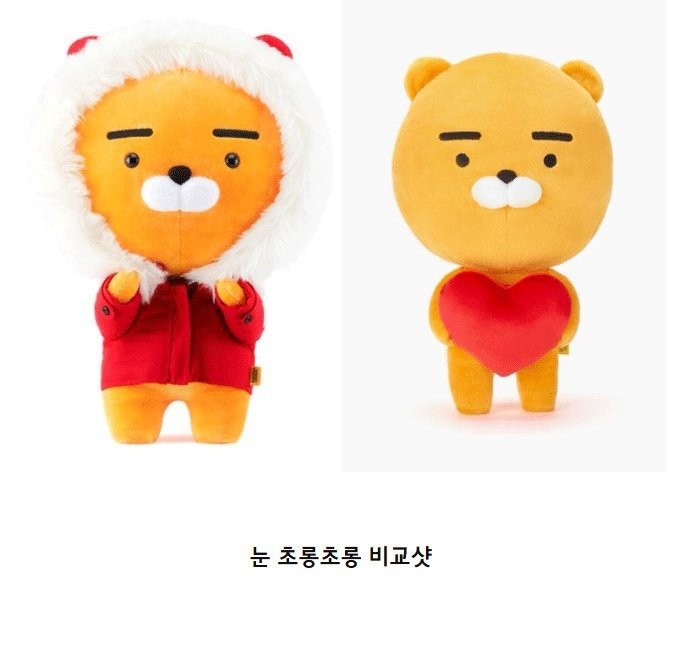 라이언의 눈이 초롱초롱해진 이유 | 인스티즈