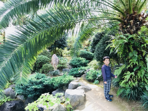 구덕산 유아숲체험원 이미지