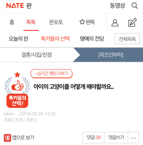 아이의 고양이를 어떻게 해야할까요.. | 인스티즈