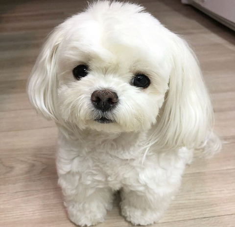 저 머리 묶은게 이뻐요, 아님 푸른게 이뻐요ㅠㅠ?? | 인스티즈