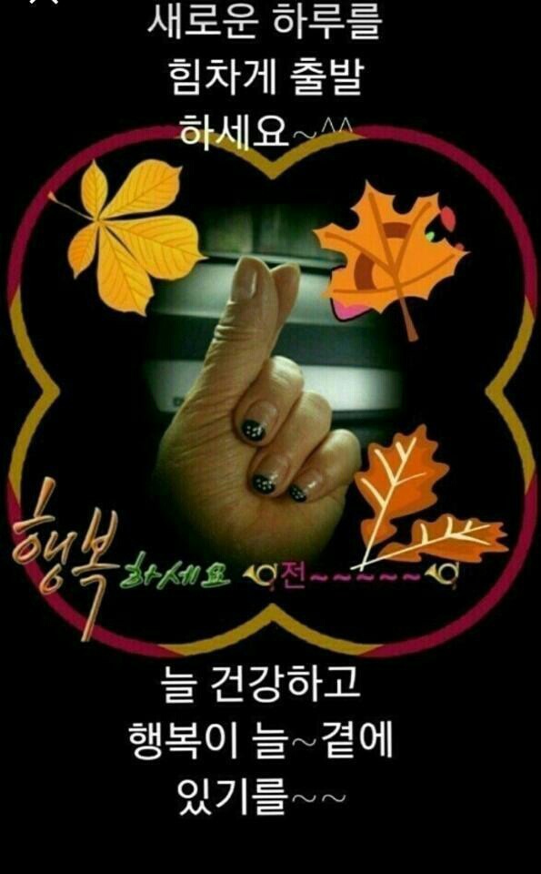 행복한 아침 이미지