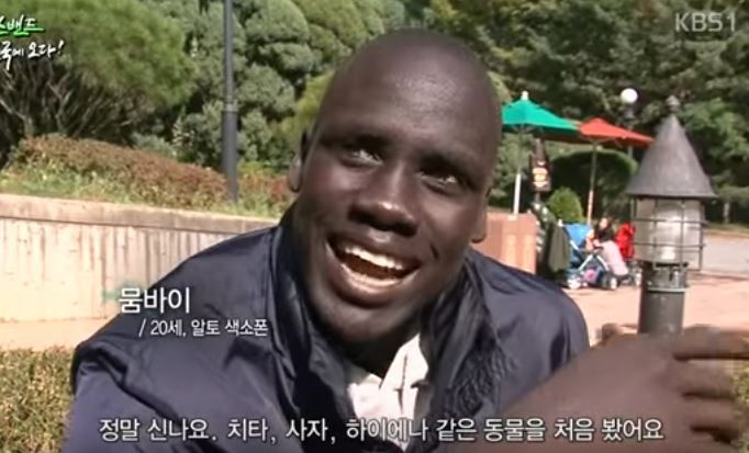 아프리카 사람이 한국에 와서 처음 본 동물 | 인스티즈