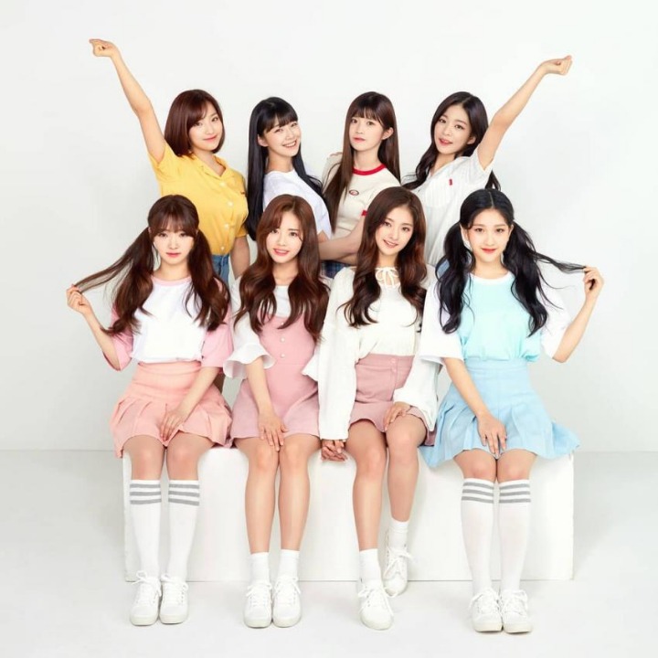 [프로미스나인] 추가로 앨범사서 약속회 갈까 고민되서 픎나인 | 인스티즈