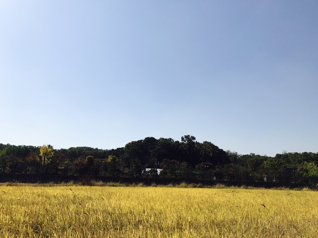 논밭 이미지