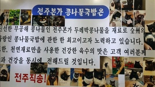 고양이를 너무 자랑하고 싶었던 콩나물 국밥집 사장님.jpg | 인스티즈