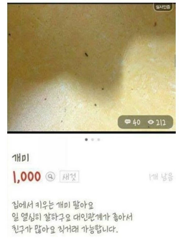 중고나라 레전드 사건2 jpg | 인스티즈