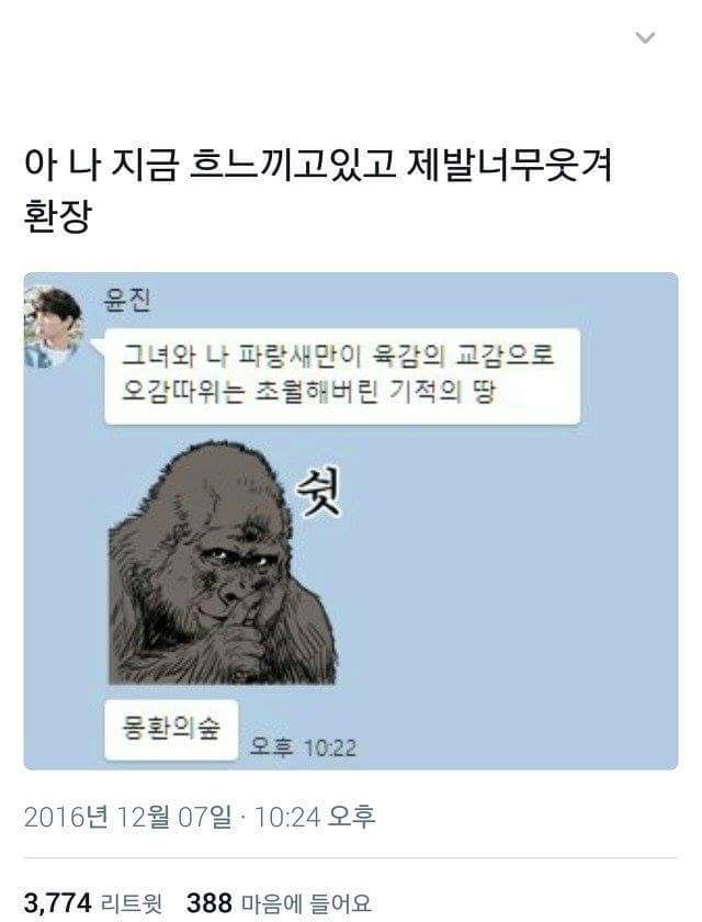 내 웃음 모음 5 | 인스티즈