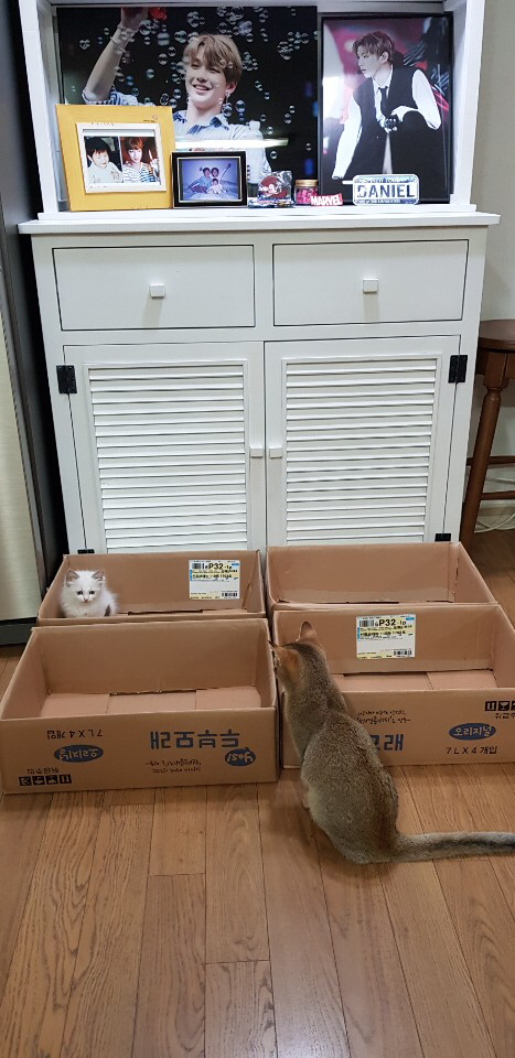 힉 이미지