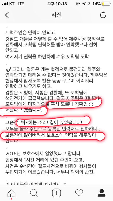 보신탕이 문제인 이유 | 인스티즈
