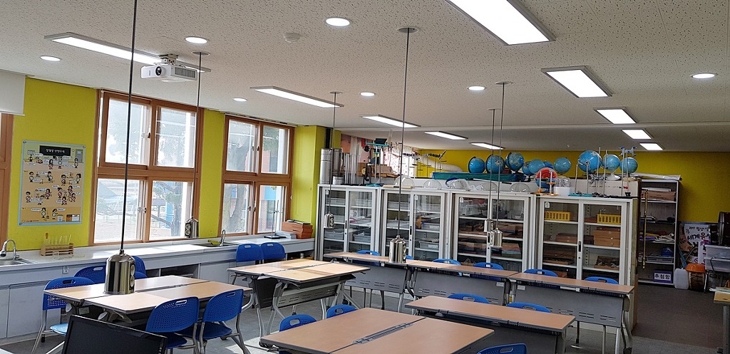 월성초등학교 이미지