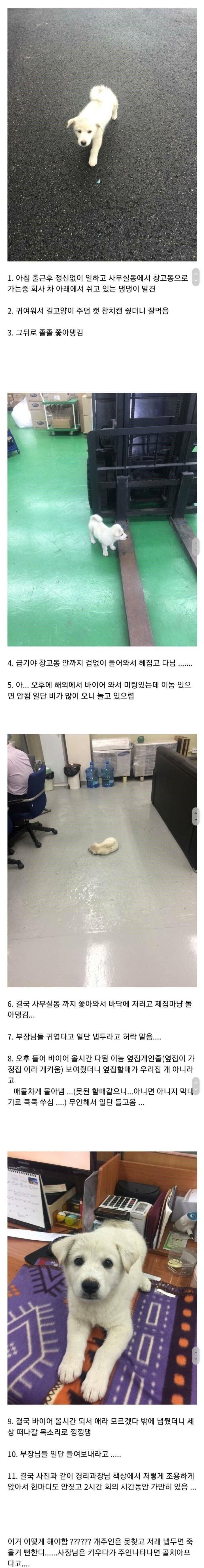 회사 멍줍 레전드.jpg | 인스티즈