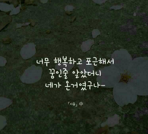 해피사랑방 이미지