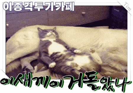 한국인이 가장 많이 편식하는 음식 TOP15 | 인스티즈
