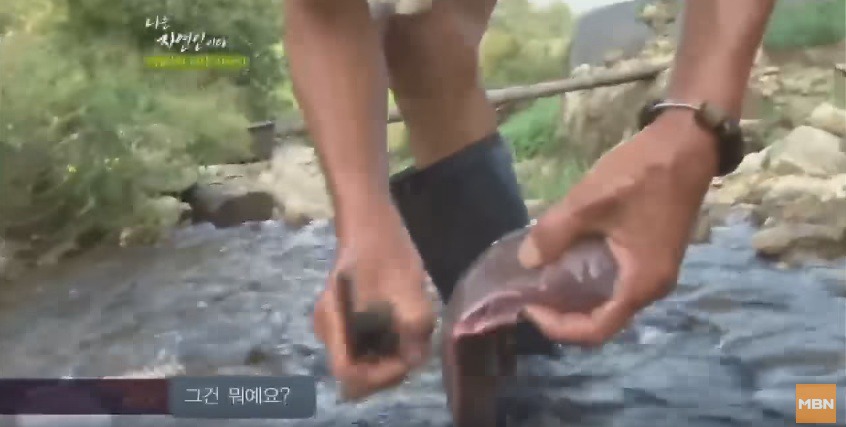 죽은지 하루정도 지난 고라니 간 먹는 이승윤 | 인스티즈