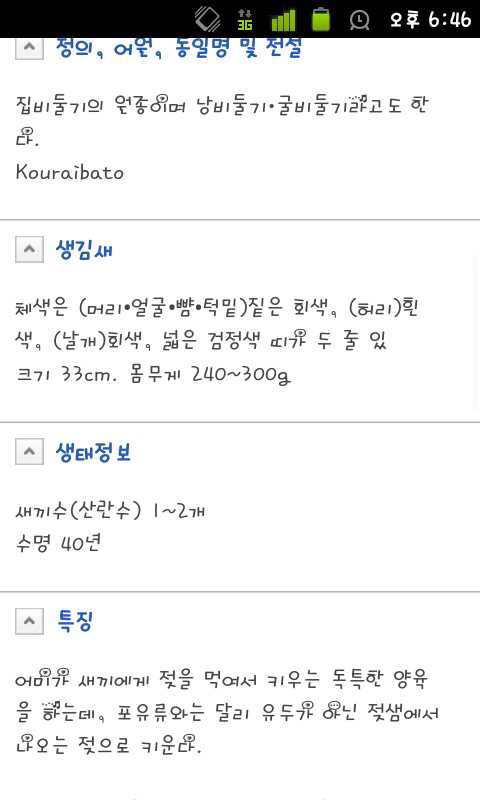 비둘기의 평균 수명 | 인스티즈
