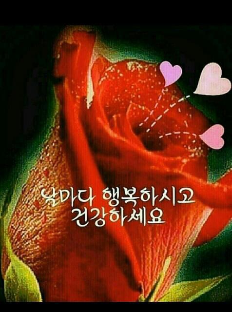 사랑으로 이미지