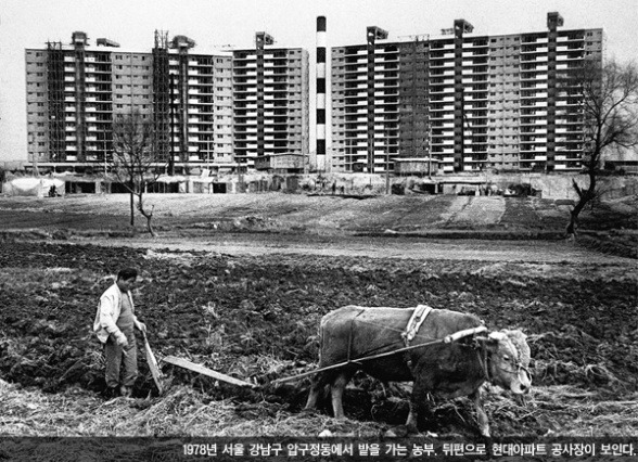 1970~80년대 서울 강남 사진.jpg | 인스티즈